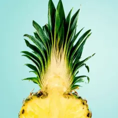 Czy ananas naprawdę odchudza? Fakty i mity o właściwościach odchudzających